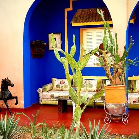 Riad Jasmine Sud Zagora Exterior foto